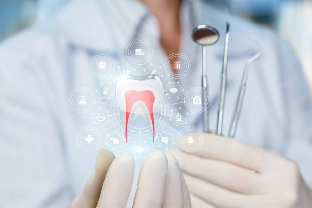Best Invisalign and Clear Aligners  in Fort Myers Shores, FL